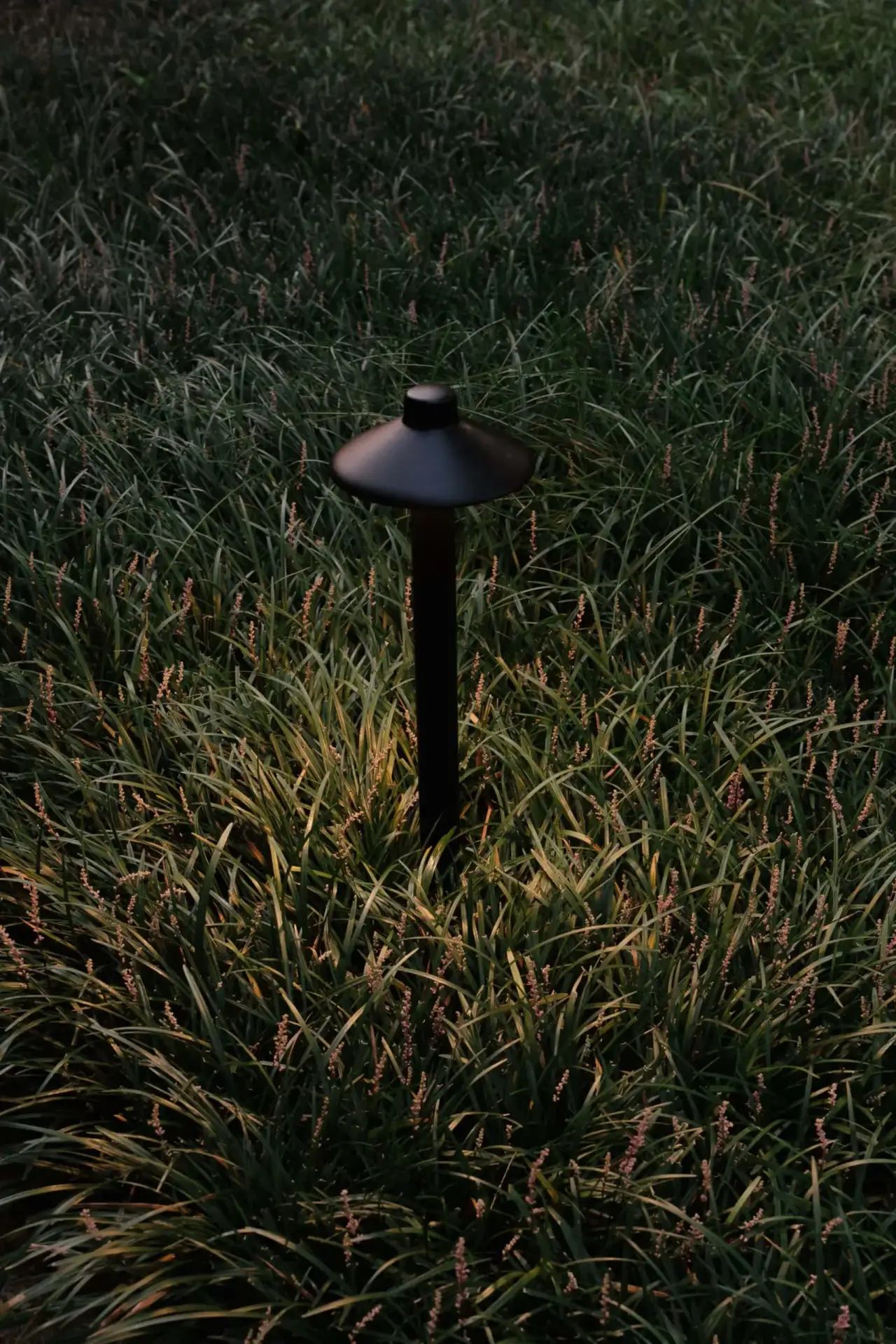 Elegant pathway light illuminating garden walkway, enhancing safety and ambiance at night.