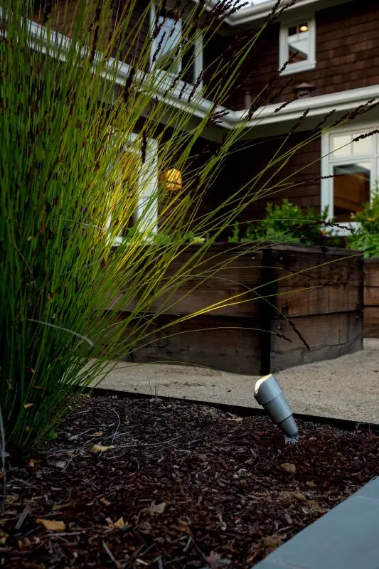 walkway lighting at back of house