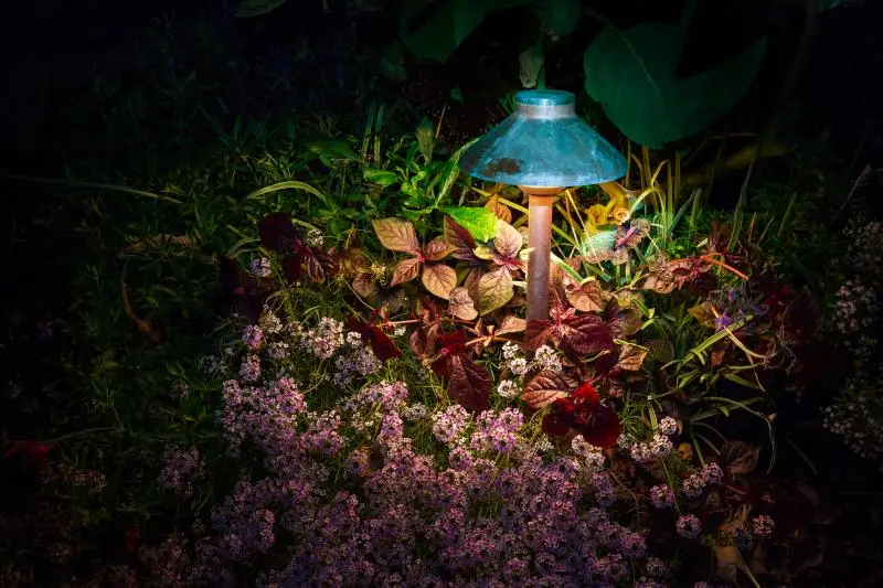 the best pathway lighting near you