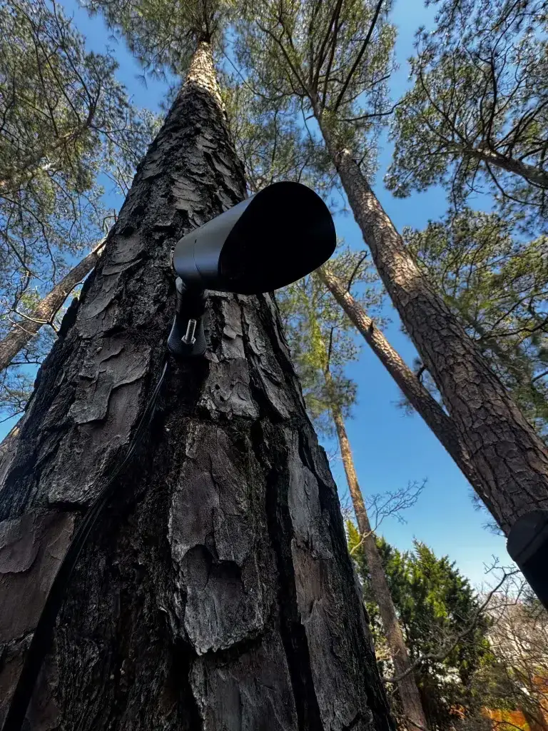 outdoor lighting for trees