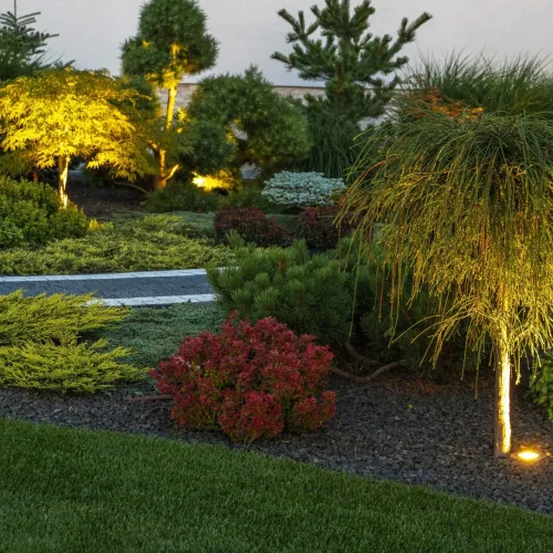 architectural-lighting-landscape-lights